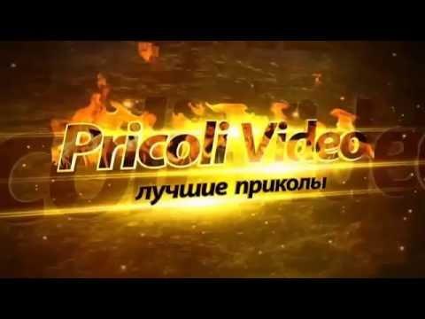 Смешные картинки  Видео приколы