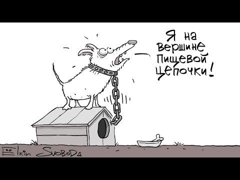 Свежие АНЕКДОТЫ 2019 !!!