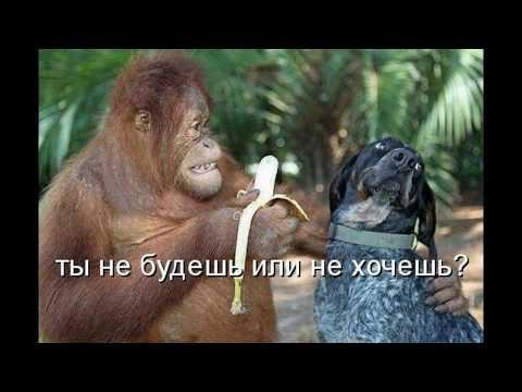 Прикольные картинки  #17. Освещать темный переулок Айфоном — плохая примета