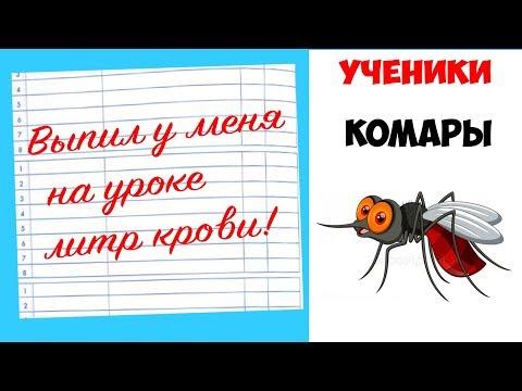 Лютые приколы .КОМАРЫ - УЧЕНИКИ . Угарные мемы , смешные картинки