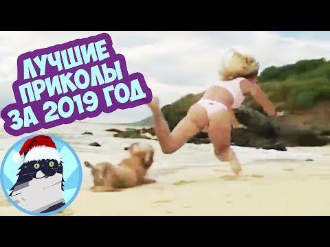 ЛУЧШИЕ ПРИКОЛЫ ЗА ВЕСЬ 2019 ГОД 