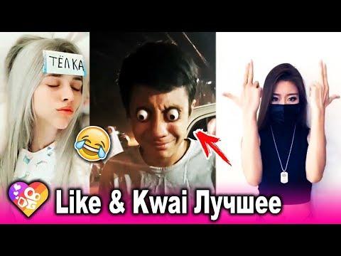 ЛУЧШИЕ ВИДЕО КВАЙ И ЛАЙК 2019 | ПРИКОЛЫ Kwai & Like Самые Няшные и Прикольные Видео