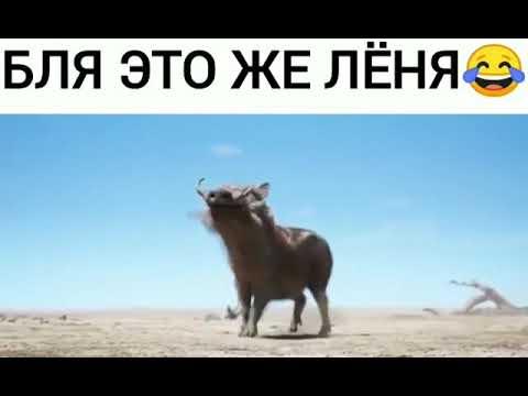 Тимон и Пумба(гоблинский перевод) без цензуры!