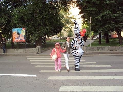 Пешеходы на дороге, Подборка приколов на дороге