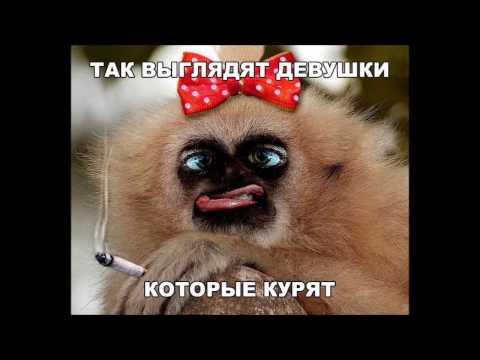 Самые прикольные и смешные картинки часть четвертая