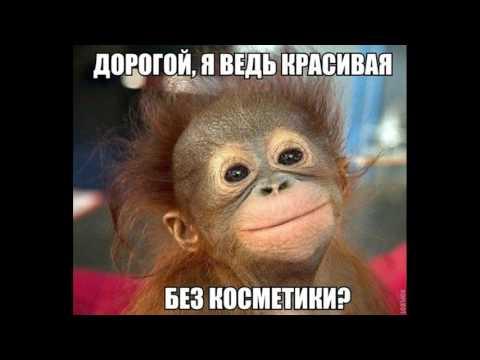 нарезка приколы картинки 2017