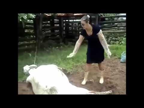 Пошлые приколы видео COUB за январь 2017  Best Coub за неделю # Fanny Fail Videos