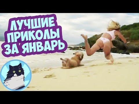 ЛУЧШИЕ ПРИКОЛЫ ЗА ВЕСЬ ЯНВАРЬ 